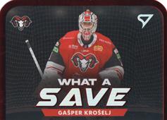 Krošelj Gašper 23-24 Tipos Extraliga What a Save #WS-10